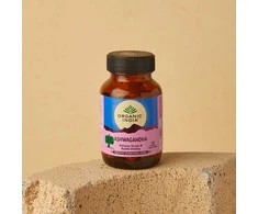 Ekologiškas maisto papildas "Ashwagandha" ORGANIC INDIA, 60 kaps.