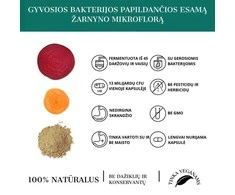 Grandininis pjūklas Maisto papildas MULTIBIOTIC TOGETHER (13 Billion CFU), 30 kaps.