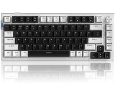 Klaviatūra Magegee SKY81 Baltas-Juodas B, RGB, Wireless, Mėlyna Whale Switch, US