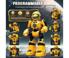 Interaktyvus nuotoliniu būdu valdomas robotas Remote Control Robot