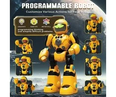 Interaktyvus nuotoliniu būdu valdomas robotas Remote Control Robot