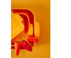 PEUGEOT APPOLIA stačiakampis indas 36 cm geltonas