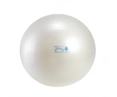 Gymnic Fit Ball kamuolys 65