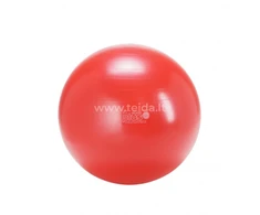 Gymnic Plus kamuolys 55 raudonas