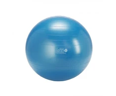 Gymnic Plus kamuolys 65 mėlynas