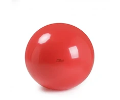 Physio Gymnic kamuolys 120 cm skersmens