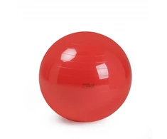Physio Gymnic kamuolys 85 cm