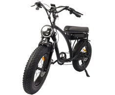 Elektrinis dviratis Bezior XF001, 20", 1000W, 12,5Ah, juodas