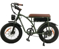 Elektrinis dviratis Bezior XF001, 20", 1000W, 12,5Ah, žalias