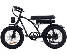 Elektrinis dviratis Bezior XF001, 20", 1000W, 12,5Ah, juodas
