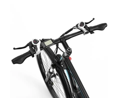Elektrinis dviratis Duotts C29, 29", 750W, 15Ah, juodas