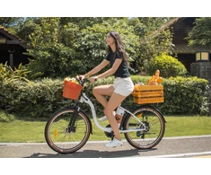 Elektrinis dviratis DYU C6 PRO, 26", 250W, 15,6Ah, baltas