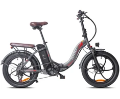 Elektrinis dviratis FAFREES F20 Pro, 20", pilkas, 250W, 18Ah