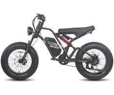 Elektrinis dviratis Fafrees F20 Ultra 20", juodas, 750W, 25Ah
