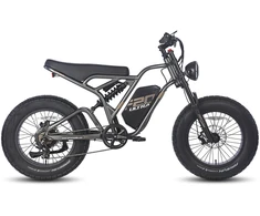Elektrinis dviratis Fafrees F20 Ultra 20", pilkas, 750W, 25Ah