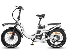 Elektrinis dviratis Fafrees F20 X- Max 20", baltas, 750W, 30Ah