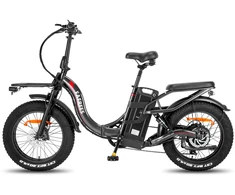 Elektrinis dviratis Fafrees F20 X- Max 20", pilkas, 750W, 30Ah