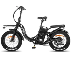Elektrinis dviratis Fafrees F20 X- Max 20", juodas, 750W, 30Ah