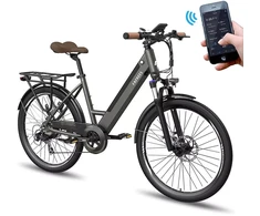 Elektrinis dviratis Fafrees F26 Pro 26", pilkas, 250W,14,5Ah
