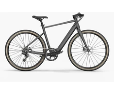 Elektrinis dviratis Fiido Gravel C21, L, pilkas