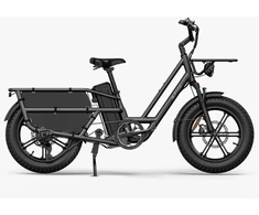 Elektrinis dviratis Fiido T2, 20", 750W, pilkas