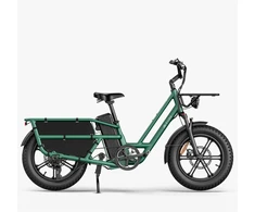 Elektrinis dviratis Fiido T2, 20", 750W, žalias