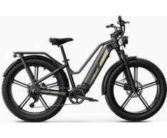 Elektrinis dviratis Fiido Titan, 26", 750W, 14,5Ah, juodas