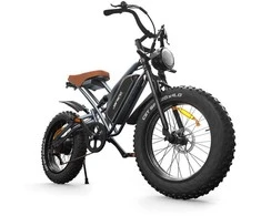 Elektrinis dviratis Jansno X50, 20", 750W, 14Ah, juodas