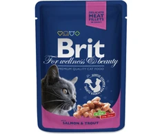 Brit Premium lašiša&amp;upėtakis 100 g