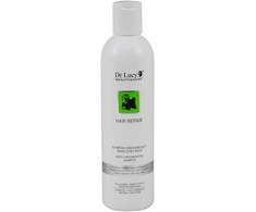 DR LUCY PRO HAIR REPAIR Šampūnas 250 ML – RESTORES DAMAGED HAIR