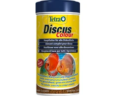 Tetra Disko spalva 250 ml