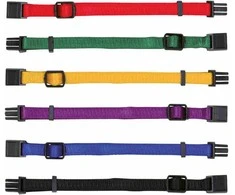 Trixie Junior Antkaklių kompl., M–L 22–35 cm/10 mm, 6 vnt. juodas, raudonas, mėlynas (pak. 6)