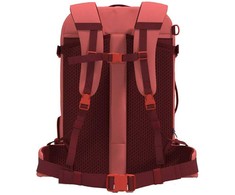 Cabinzero Classic Pro 42l kelioninis kuprinė, persikų slėnis