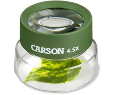 Carson -universalus