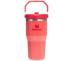Stanley termosinis puodelis The Iceflow Flip Straw, 600 ml, oranžinis