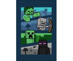 Kocyk polarowy 100x150 Minecraft 2022 Mobs and Shadows pled dziecięcy JF 02