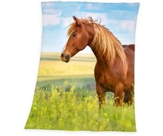 Herding Kocyk polarowy 130x160 Koń na łące 5108 Konik Horse pled dziecięcy