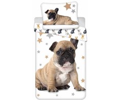 Patalynė bawełniana 140x200 Buldog Francuski pies gwiazdki 7387 balta smėlio sp. pilka psy dog piesek pieski poszewka 70x90 młodzieżowa dziecięca