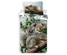 Patalynė bawełniana 140x200 Koala Misie liście palmy 8469 poszewka 70x90 žalia smėlio sp.