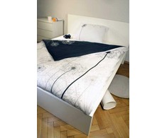 Faro JAUNIMO PATALĖS Kiaulpienė 160X200 MEDVILNĖ 100 % VĖJO DELTY MEDVILNĖ