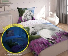 Detexpol Vaikiškas šviečiantis tamsoje patalynės komplektas 160x200, 2 dalių