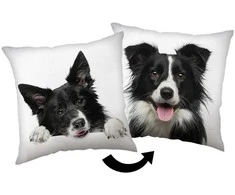 Poduszka dekoracyjna 40x40 Border Collie biaa juoda JF24