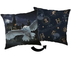 Poduszka dekoracyjna 40x40 Harry Potter Hogwarts grafito JF24