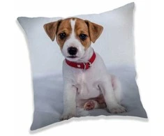 Poduszka dziecięca 40x40 Pies Piesek Dog 5499 pilka dziecięca dekoracyjna