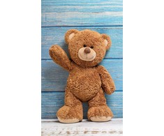 Rankšluostis Ręczniczek do przedszkola 30x50 Bear miś dziecięcy Babies