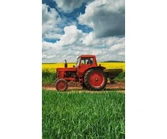 Rankšluostis Ręczniczek do przedszkola 30x50 Traktor traktor dziecięcy Babies