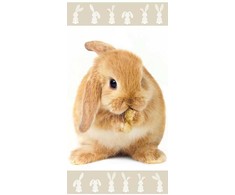 Jerry Fabrics Bunny "Brown" Vaikiškas rankšluostis, 70x140 cm