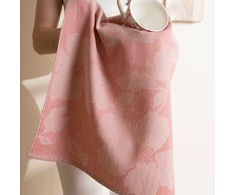 Pink Rožinė Egipto medvilnės virtuvinis rankšluostis SOFIKO BEIGE-Rožinis, 50x70 cm