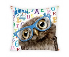 Detexpol ANIMAL CLUB PODUSZKA COVER, 40X40CM