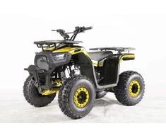 1Deame Benzininis keturratis 120CC DISCOVER, Geltona